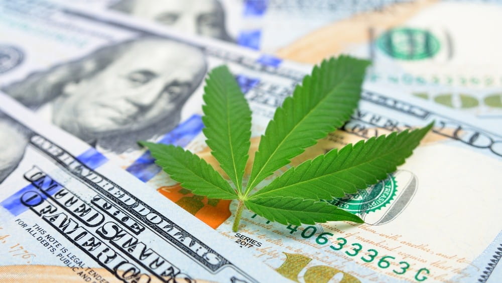High(s) für drei: Canopy und Tilray springen an – Psychedelika-Aktien auch!