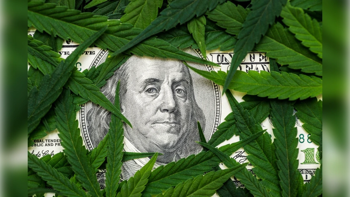 Quartalszahlen im Vergleich: Philip Morris treibt Transformation, Canopy Growth sucht Stabilität