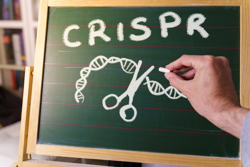 Gentechnik, aber gut: Das ist unser neuer Euro-Titan CRISPR