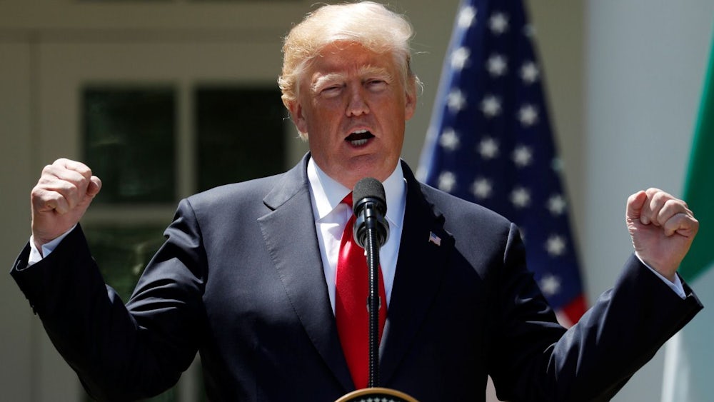 Bitte mehr Zölle! Rettet Trump die deutsche Export-Wirtschaft?