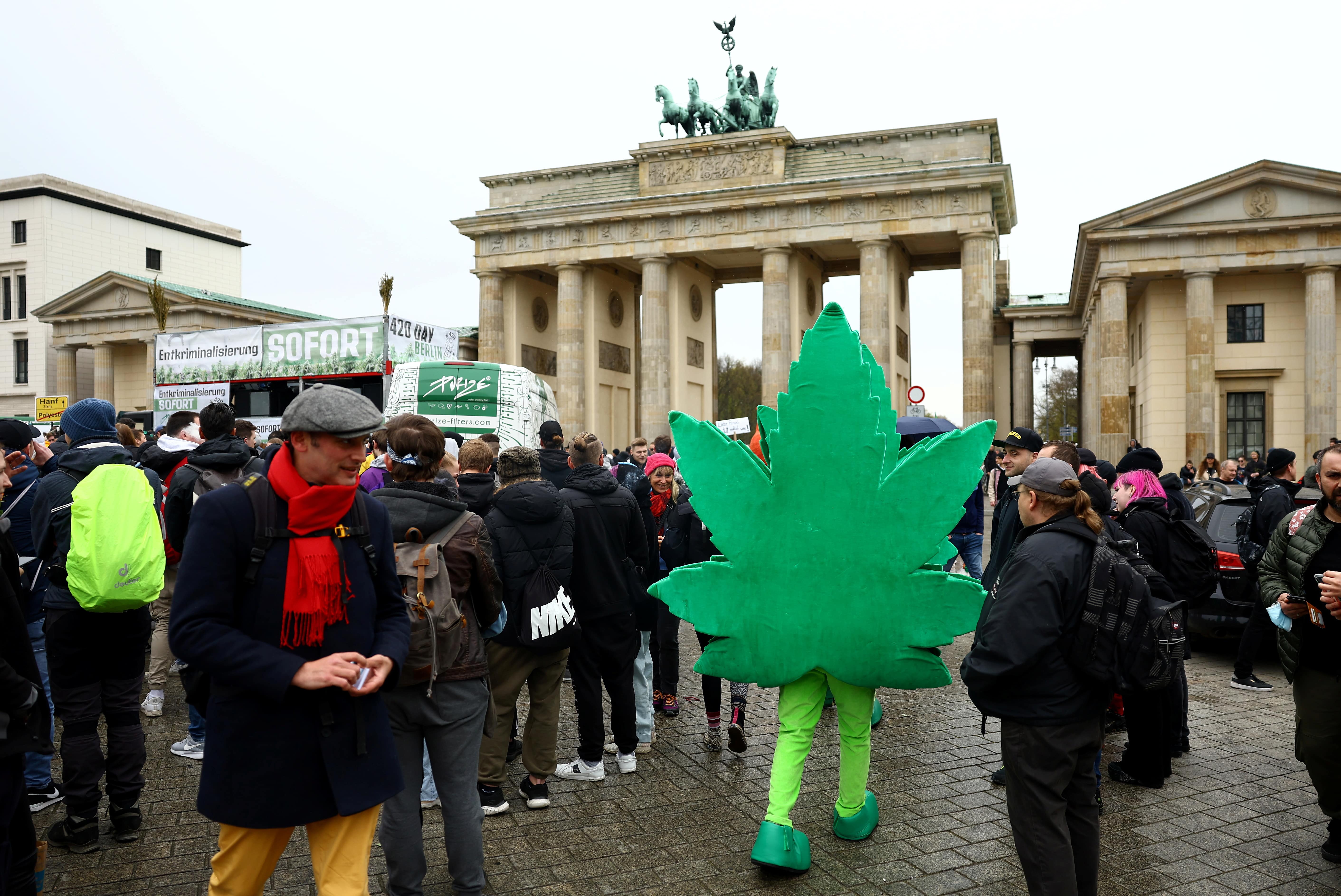 Cannabis: Legalisierungswelle in Afrika? Bürokratie-Wirrwarr in Deutschland