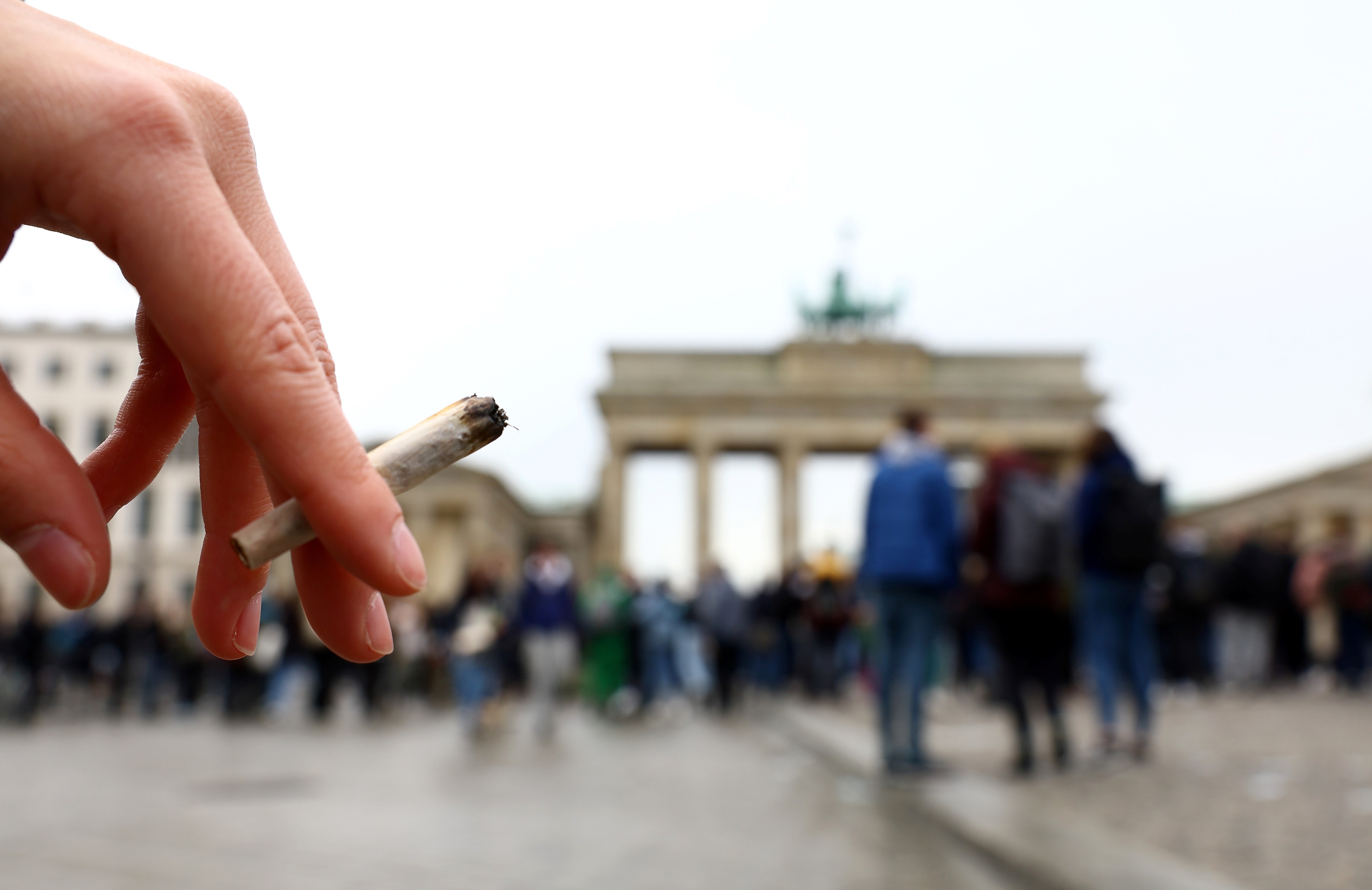 SynBiotic marschiert, Canopy Growth kämpft: Turbulenzen nach deutscher Cannabis-Legalisierung