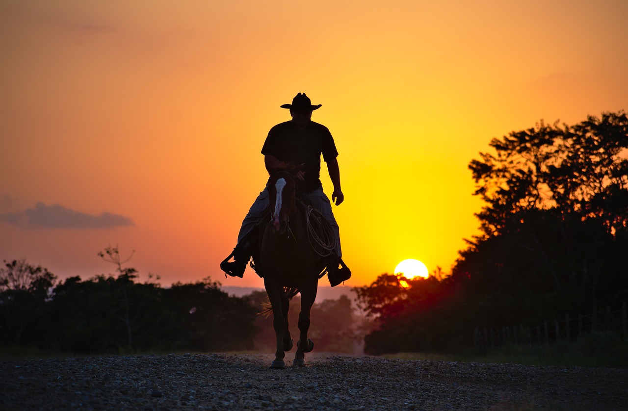 Philip Morris: vom Cowboy-Sponsor zum Cannabis-Tycoon