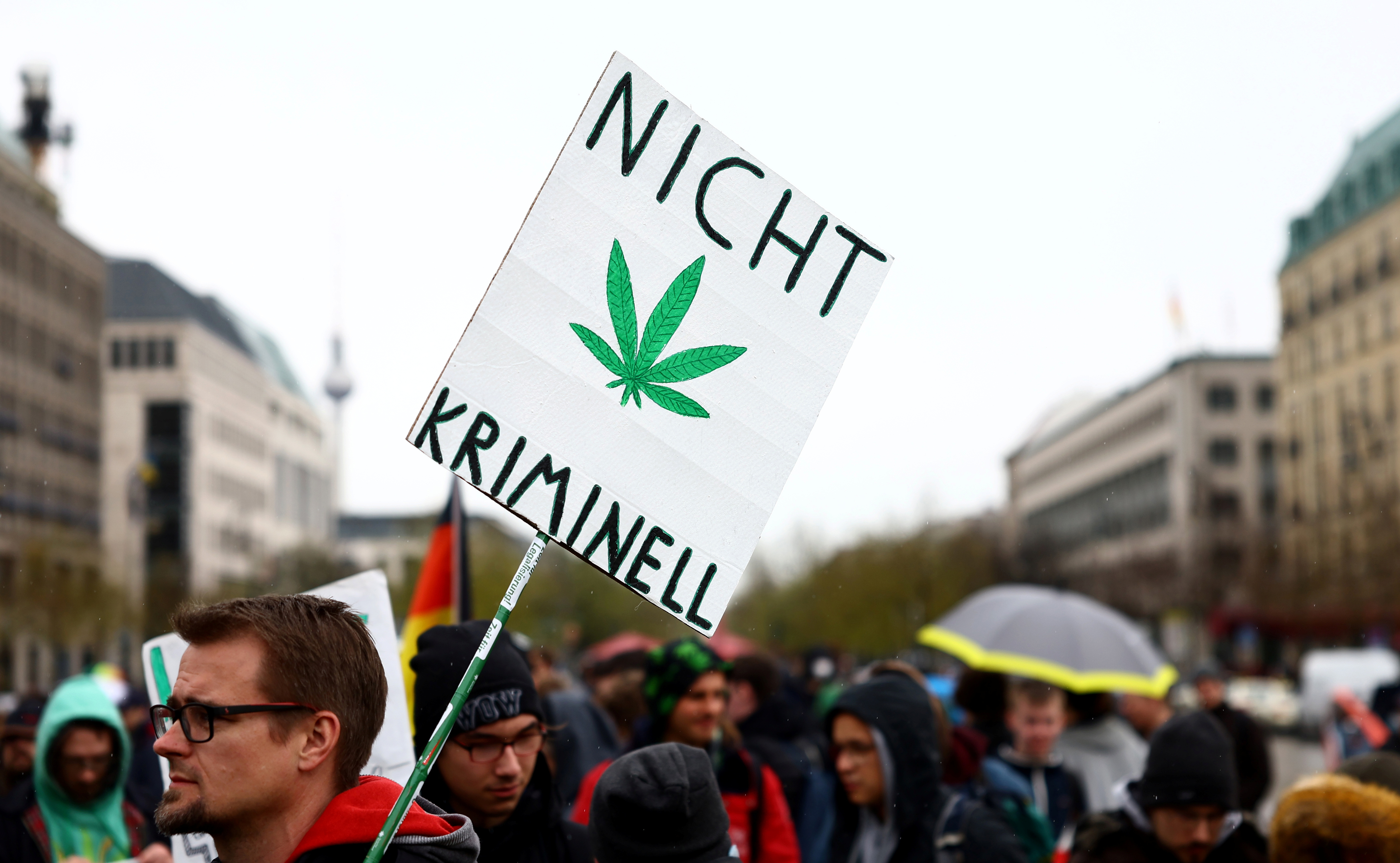 EU und USA überdenken Cannabis-Politik: Curaleaf, Aurora und SynBiotic expandieren