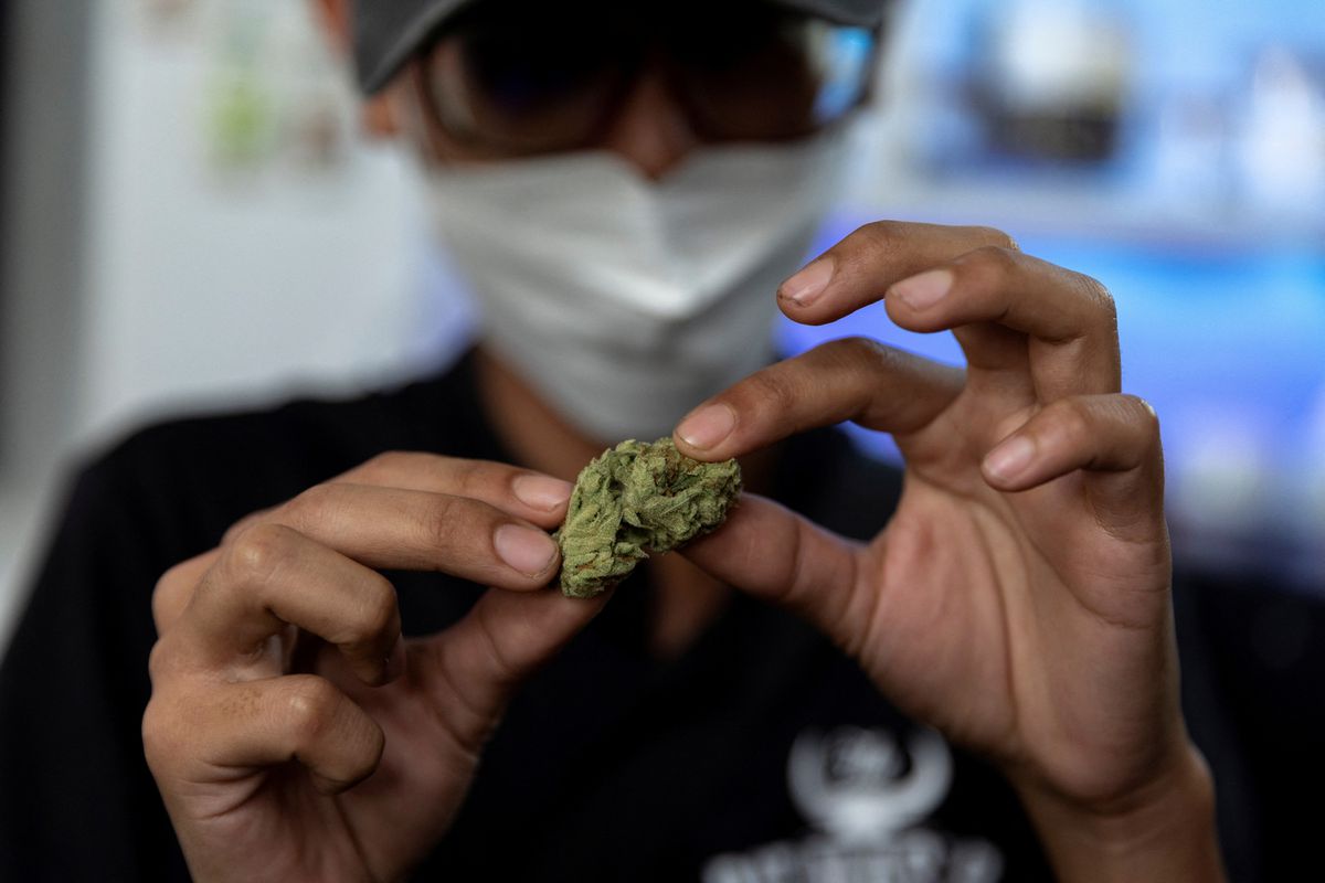 Cannabis-Teil-Legalisierung in Deutschland? SynBiotic mit massivem Pump