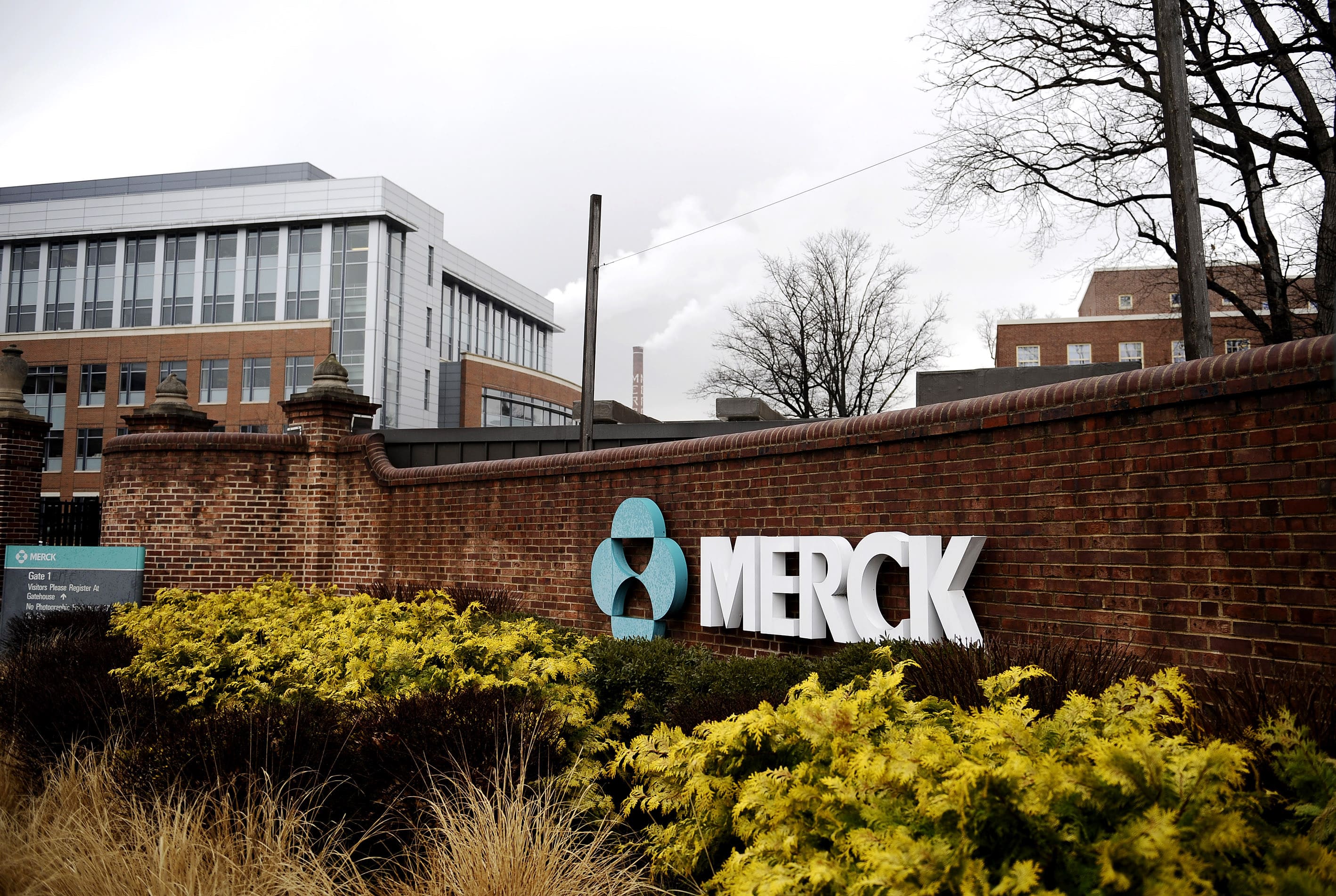 Für knapp $11 Milliarden: Merck US übernimmt Biotech-Unternehmen