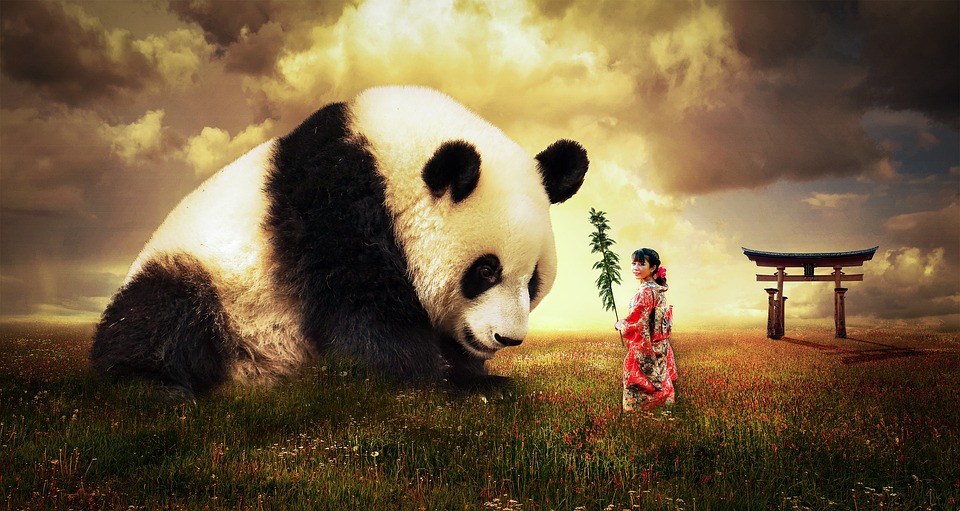 Panda-Anleihen: Der neue Markt für globale Investoren