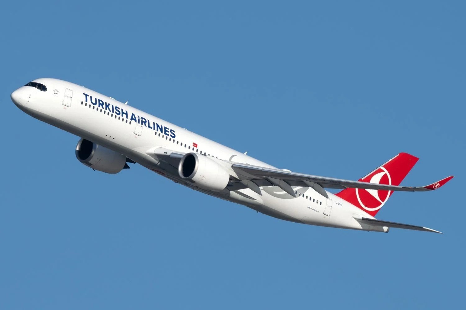 Turkish Airlines: Joint Venture oder IPO?