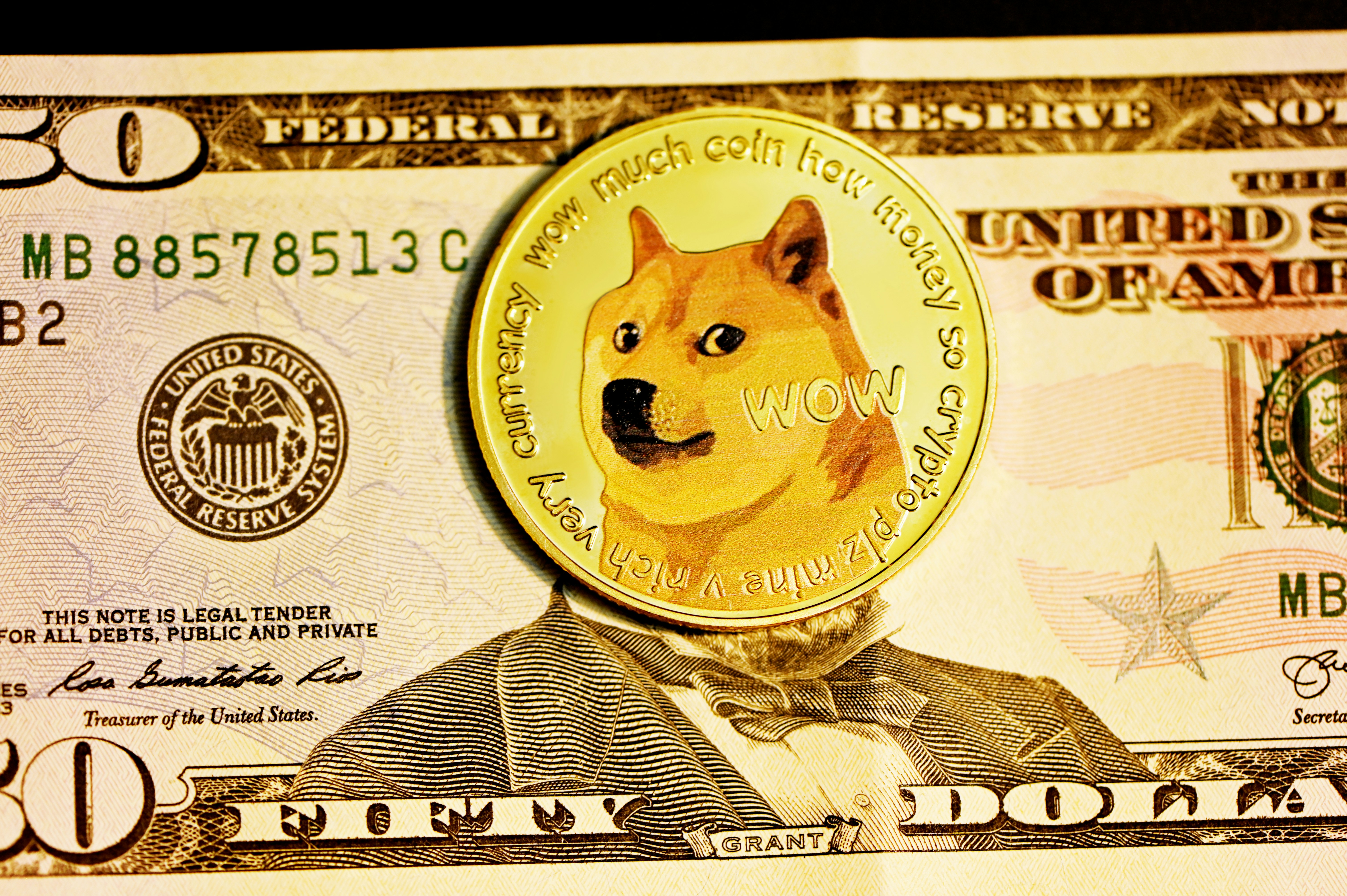Zyklus der Meme Coins? Warum Pepe, Shiba und Doge den Krypto-Markt anführen
