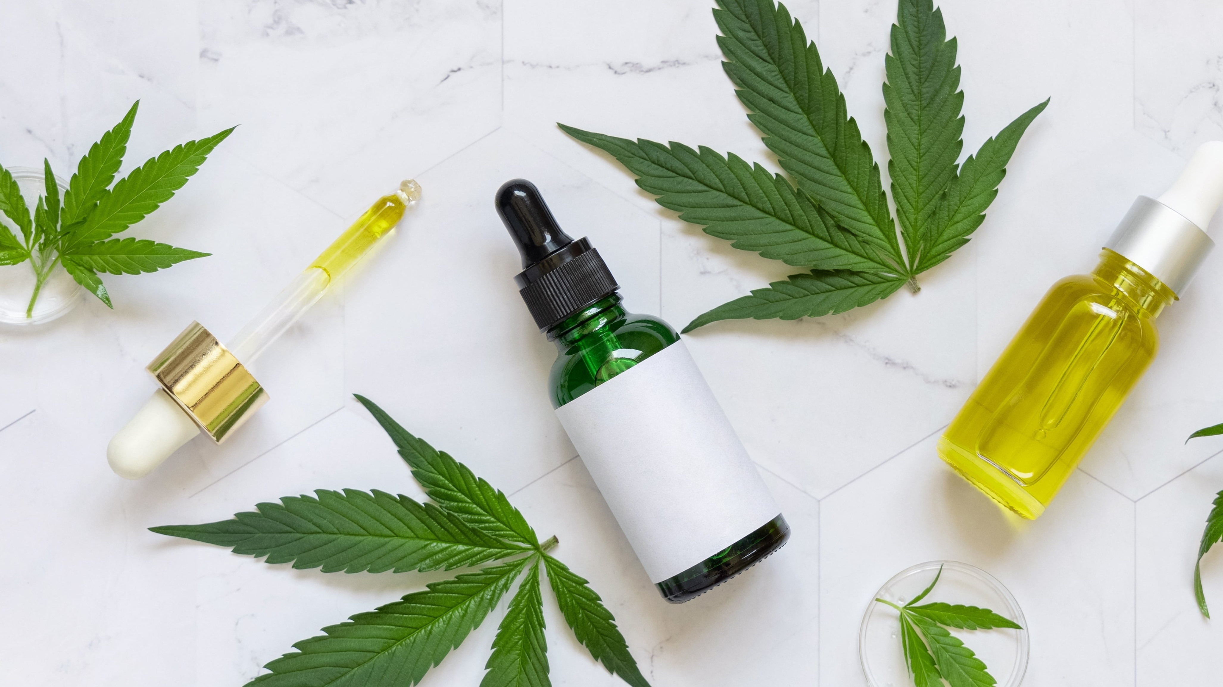 Cannabis-Hype in Q3: Curaleaf wächst, Altria patzt, Cronos glänzt
