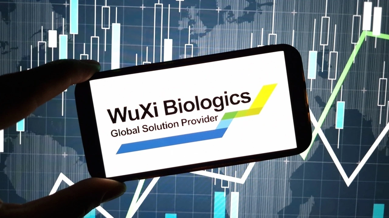 WuXi Biologics Earnings 2025: Starkes Wachstum und Expansion